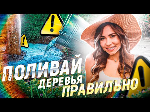 Видео: ПОЛИВ ДЕРЕВЬЕВ 💦 Никогда не делайте эти 10 ОШИБОК ПОЛИВА САДА