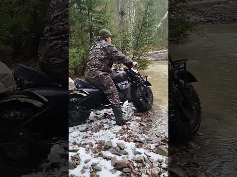 Видео: Мотовездеход Велес paxus  2WD