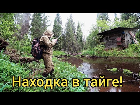 Видео: ВОТ ЭТО НАХОДКА!!! РЫБАЛКА В ТАЙГЕ СДЕЛАЛА НАС БОГАТЫМИ!