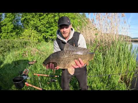 Видео: Рыбалка на крупного карпа на дикой реке. / Fishing for big carp on a wild river.