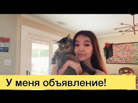 Видео: ￼ У меня объявление! #америка #jasmineusa #стрим #замужемвсша