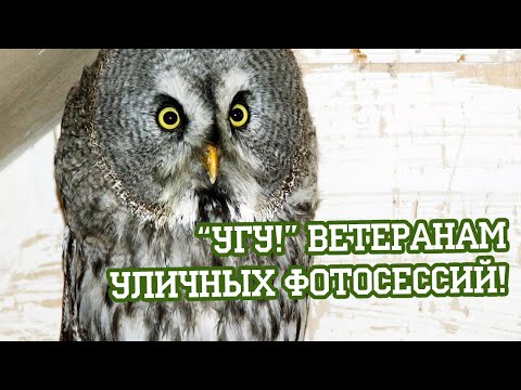 Видео: Попал под коня — и выжил! [летний архив]