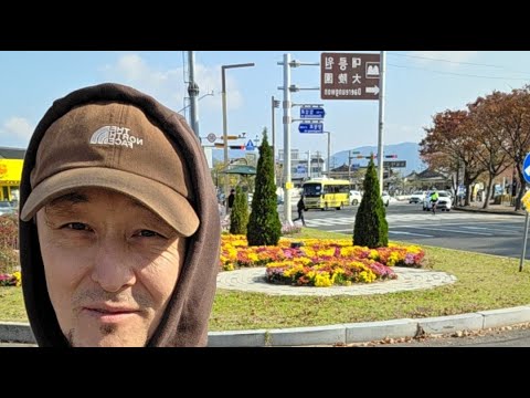 Видео: Южная Корея 🇰🇷 Выходные 💥 Прогулка Кёнджу