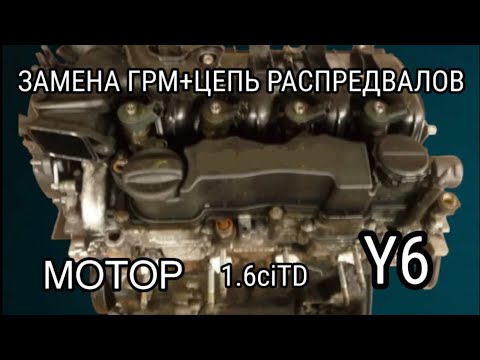 Видео: Y601 1.6citd ЗАМЕНА ЦЕПИ РАСПРЕДВАЛОВ +ГРМ МОТОР