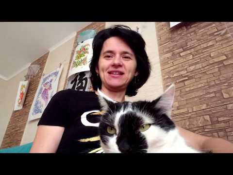 Видео: Мой блог о Петриковской росписи. Выпуск третий: "Самодельные кисточки - кошачки"