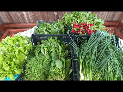 Видео: ТОРГОВЛЯ НА РЫНКЕ//ВСТРЕЧА С ПОДПИСЧИКАМИ//ТАКОЕ ВПЕРВЫЕ.....