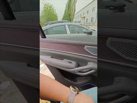 Видео: Denza N9 внутри. Салон и оснащение