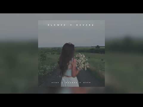 Видео: Xcho — Музыка в ночи | slowed + reverb |