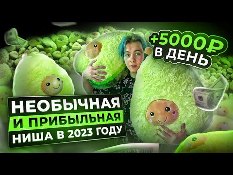 Видео: + 5.000Р В ДЕНЬ, ПЕРЕПРОДАВАЯ ПЛЮШЕВЫЕ АВОКАДО НА АВИТО! ПРИБЫЛЬНАЯ НИША ДЛЯ ТОВАРКИ В 2023!