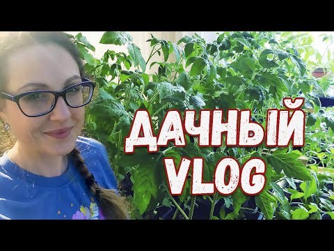 Видео: Рассада. Новый мангал. Уборка в домике\\Дачный VLOG