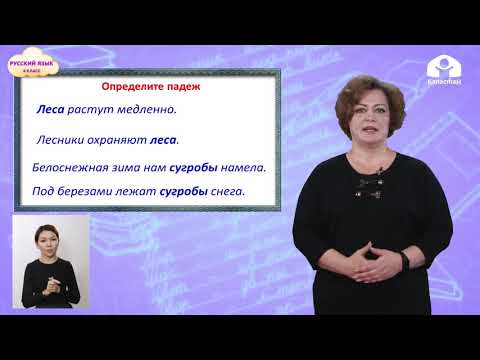 Видео: Русский язык 4 класс / Именительный и винительный падежи имён сущ.  множ. числа / ТЕЛЕУРОК 19.01.21