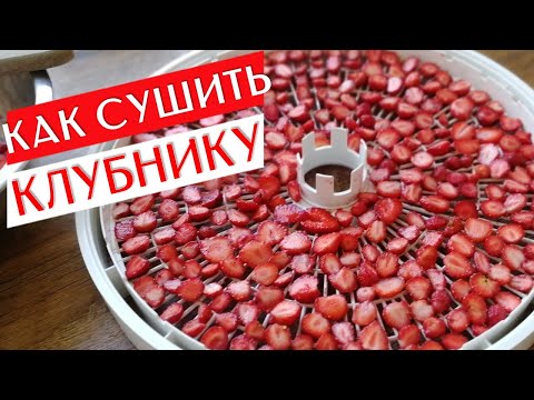 Видео: КАК СУШИТЬ КЛУБНИКУ | Сушка Клубники В Электрической Сушилке