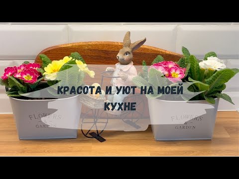 Видео: 🛍️ПОКУПКИ С WILDBERRIES ДЛЯ КУХНИ🕊️Меню для Пасхального стола