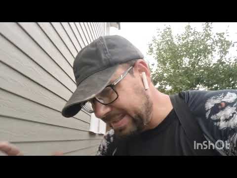 Видео: Абиссиним в Истринском районе. Буровой дедушка капризничает.