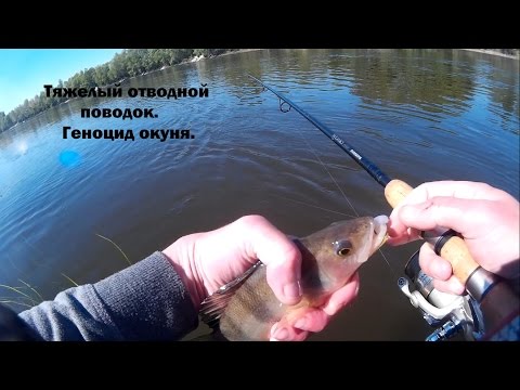 Видео: Тяжелый отводной поводок. Геноцид окуня.