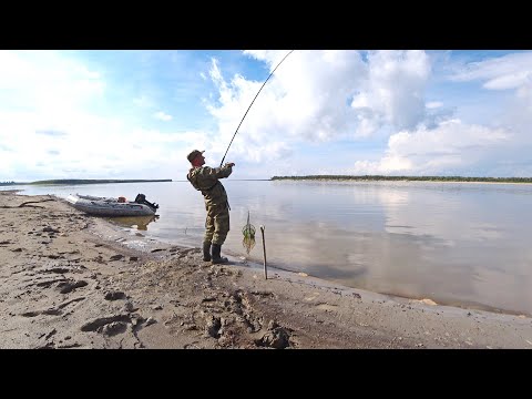 Видео: РЫБАЛКА НА ФИДЕР НА БОЛЬШОЙ РЕКЕ. Добрался на лодке Роки 335, мотор Хайди 9.8 Лучшая примерка на язя