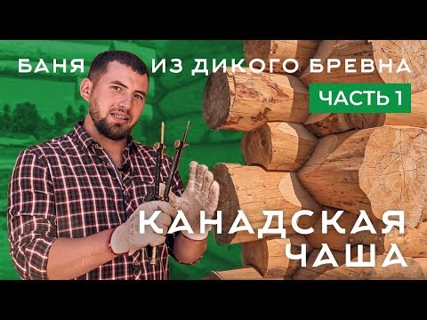 Видео: Канадская рубка, saddle notch, баня из дикого бревна