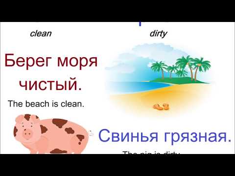 Видео: № 177  Учим русский язык : прилагательные с антонимами.