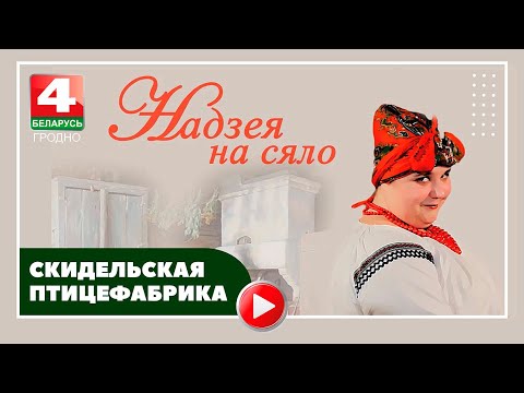 Видео: Надежда на село. Скидельская птицефабрика. 22.11.2022