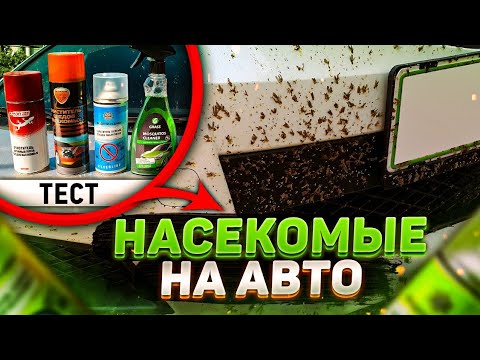 Видео: ЧЕМ УДАЛИТЬ СЛЕДЫ НАСЕКОМЫХ. ЖЕСТКИЕ ТЕСТЫ
