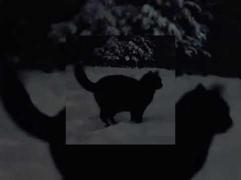 Видео: Музыка для флешмоба#музыка #флешмоб #тренды #тренд #класс #music #ухтыпухты