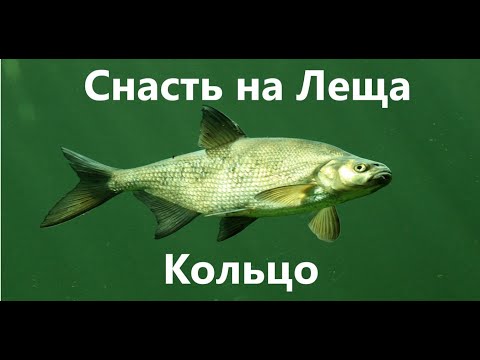 Видео: ЛЕЩ на КОЛЬЦО. Изготовление снасти за 20 мин)