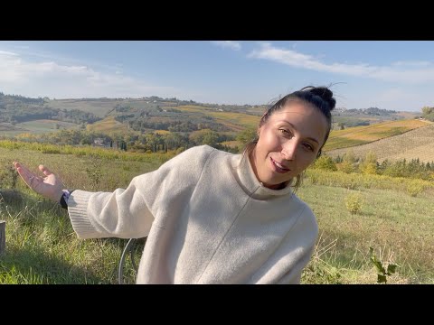 Видео: Это ИТАЛИЯ. ВСЯ ПРАВДА. Стереотипы об итальянцах