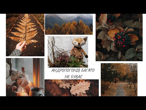 Видео:  Розпаковка нових андропогонів,таких Ви ще не бачили!!!