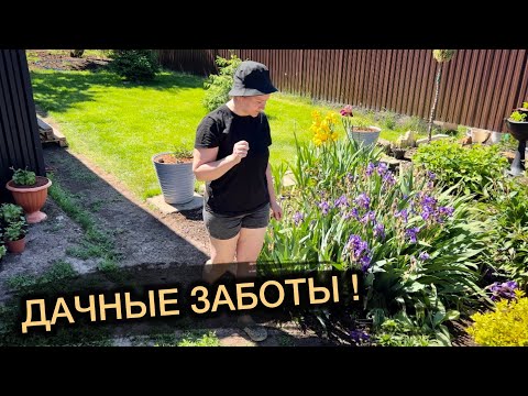Видео: Эта ДАЧА была полностью заросшей!! а теперь здесь красота и порядок.