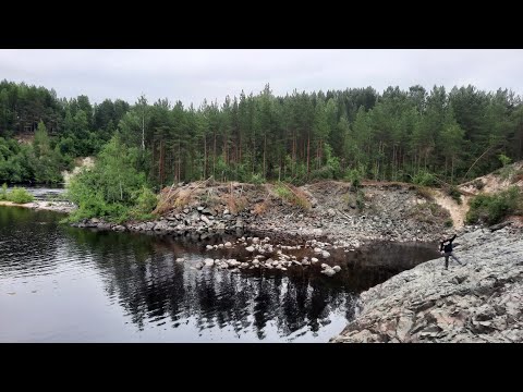 Видео: #Вулкан Гирвас, заповедник в Карелии.