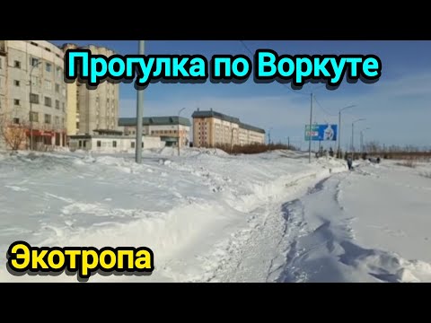 Видео: Прогулка по Экотропе. Воркута. 25.03.2025