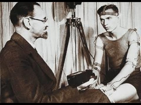 Видео: 16. Теория. Уровни построения движений Н.А.Бернштейна. Профессор В.В. Петухов. Научный лекторий МГУ.