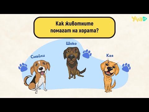 Видео: Как животните помагат на хората?