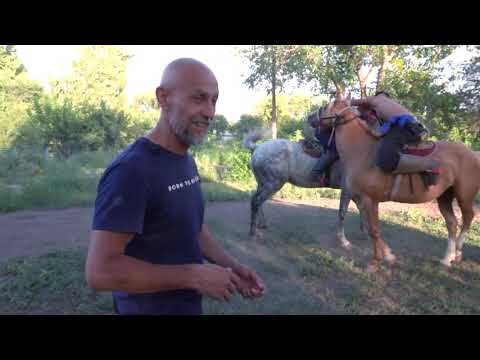 Видео: Аударыспак. Как выбить противника из седла?