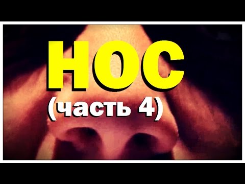 Видео: Галилео. Нос (часть 4)