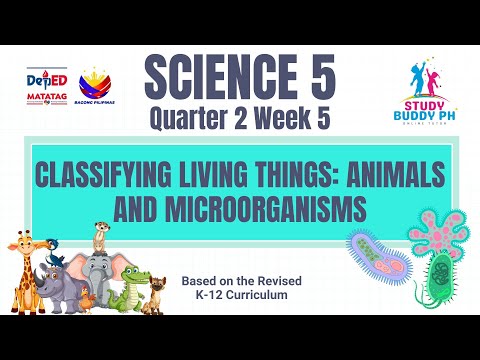 Видео: Естествознание 5 четверть 2 неделя 5 Классификация живых существ Животные и микроорганизмы