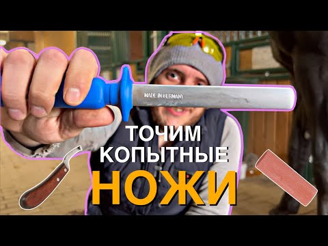 Видео: Полевой вариант заточки копытных ножей. Обзор устройств для ручной заточки копытных ножей.