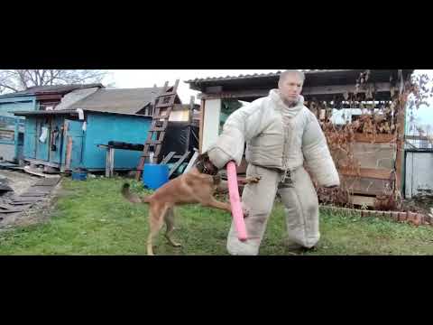 Видео: Про хватку после перехвата. 