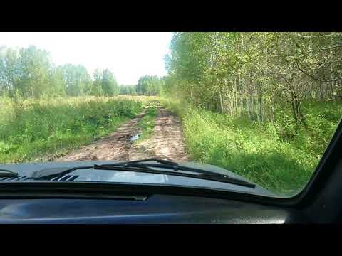 Видео: Дорога в деревню Михайловка.(Везем банки) Оператор Стоян.
