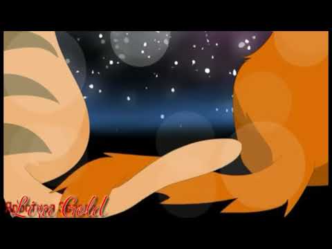 Видео: Коты Воители-Огнезвезд и Песчаная Буря клип на песню Половина моя