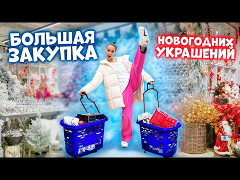 Видео: ПОТРАТИЛИ 20 000 РУБЛЕЙ на Новогодние ИГРУШКИ // 2024 😎