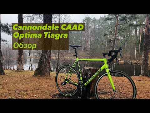 Видео: Cannondale CAAD Optimo Tiagra обзор