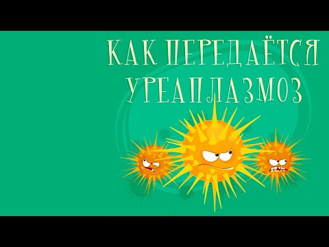 Видео: Заражение уреаплазмой - как передается