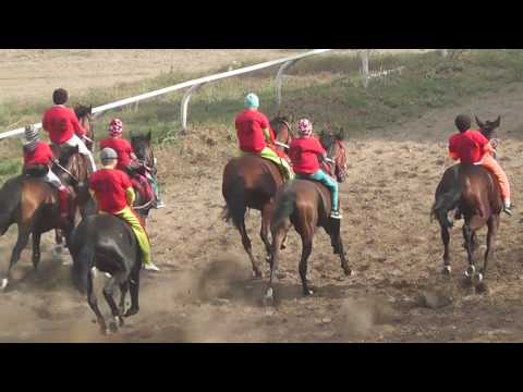 Видео: 25.09.2016 г. Кунан байга 10 км.