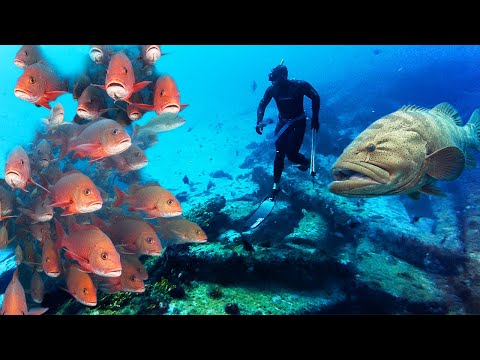 Видео: МЫ НАШЛИ РЫБУ! Подводная охота в кристально чистых водах Флориды! Лови и готовь