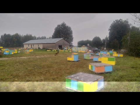 Видео: Готовим сироп .