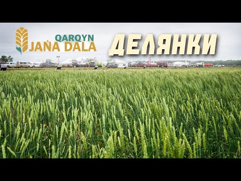 Видео: Делянки Jańa Dala QARQYN: Путь к урожаю