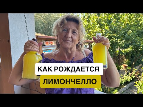 Видео: Рецепт Лимончелло от итальянки Пальмира #италия #рецепты #итальянцы #лимончелло 