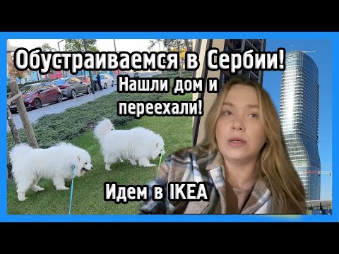 Видео: ОБУСТРАИВАЕМСЯ В СЕРБИИ  I VLOG