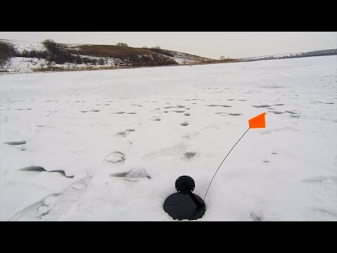 Видео: ВЫСТАВИЛ ЖЕРЛИЦЫ И НАЧАЛОСЬ!! ЩЕДРЫЙ ПОСЛЕДНИЙ ЛЕД!!! РЫБАЛКА НА ЖЕРЛИЦЫ | Рыбалка 2024